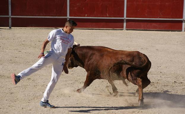 Instante en el concurso de cortes/J. de la Fuente