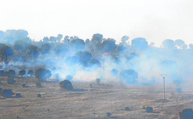 Una de las zonas afectadas por el incendio./Lata