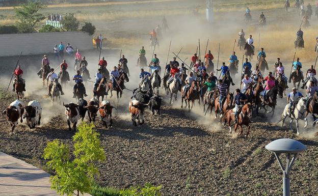 Encierro campero en Carbonero el Mayor.