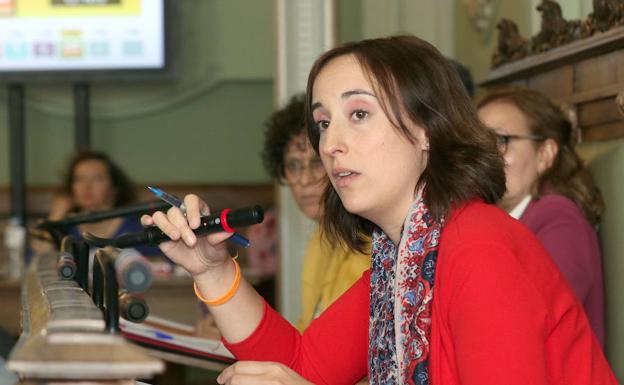 La diputada provincial de Valladolid Pilar Vicente