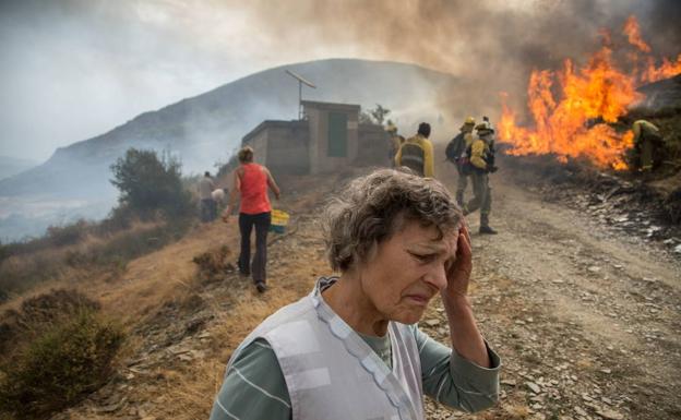 Imagen de Gabriel Villamil galardonada. /Gabriel Villamil