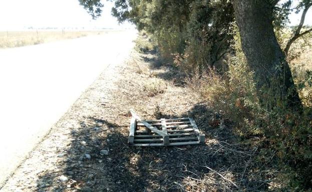 Basura en las cunetas de la provincia de Valladolid/EL NORTE