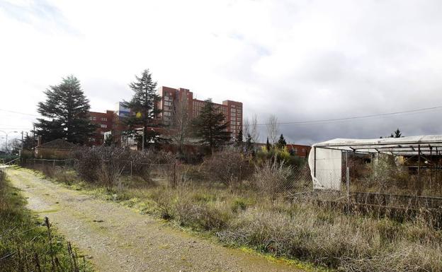 Paraje donde está previsto construir el nuevo aparcamiento del hospital Río Carrión de Palencia./Antonio Quintero