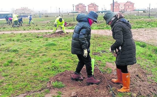 Dos mujeres plantan un árbol en el parque del Carrascalejo. /El Norte