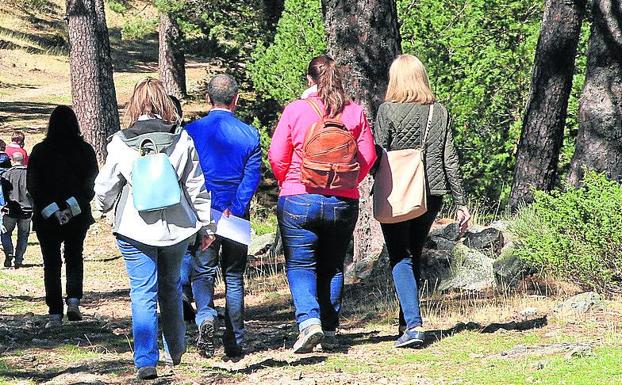 Ruta por el pinar de Valsaín. /A. de Torre