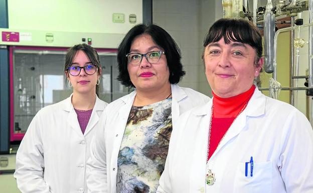 Cristina de Arriba, Marina Solange Lozano y Carmen del Hoyo. /Word