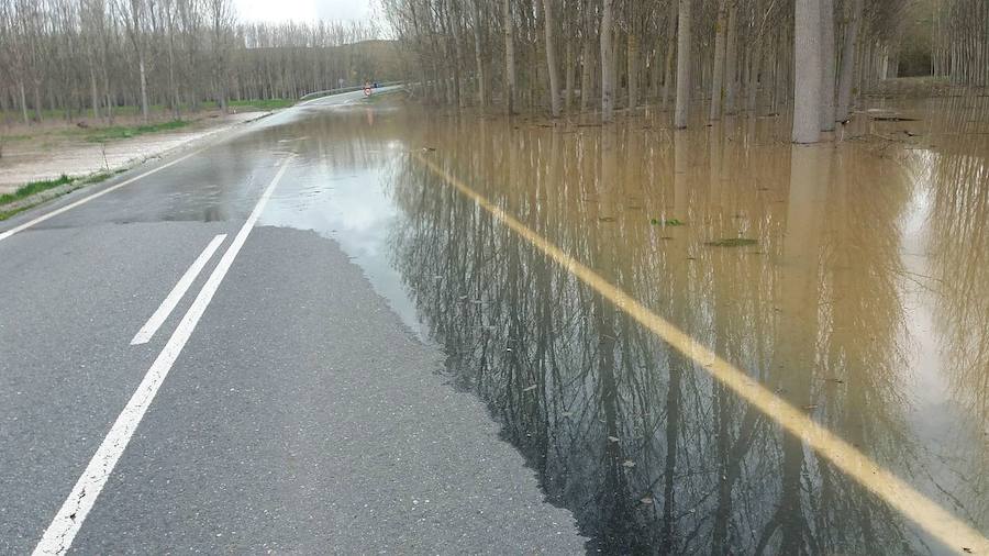 Carretera de Carbonero de Ahusín a la CL-605./El Norte