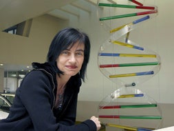 La científica Mara Dierssen, que actualmente es investigadora en el Centro de Regulación Gerómica de Barcelona, posa hoy en Valladolid, donde ha recibido el II Premio de Divulgación Científica Laura Iglesias dotado con 12.000 euros. EFE/Ricardo Suárez./