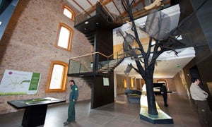 Casa del Parque de los Montes Obarenes-San Zadornil (Burgos) / Foto: ICAL/
