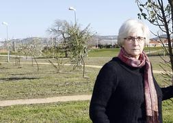 Cree Del Valle que la profesionalización de los servicios sociales no debe impedirles tratar a cada persona de forma distinta. :: RAMÓNGÓMEZ/