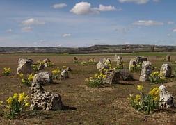 Tumbas en la necrópolis de Las Ruedas, en el yacimiento de Pintia. / El Norte/
