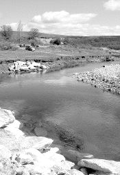 Tramo del río Tera a su paso por Puebla. / A. SAAVEDRA/