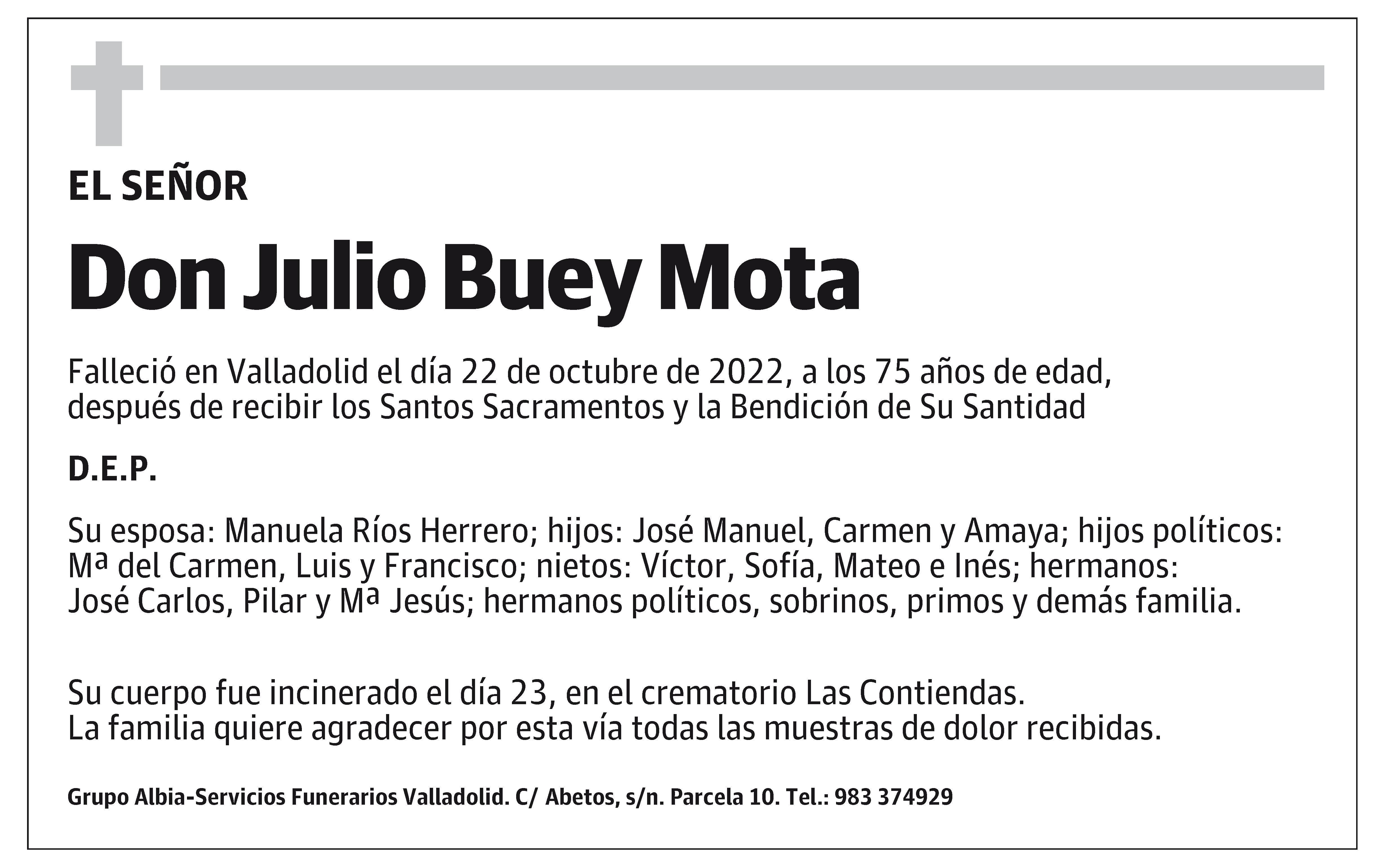 Julio Buey Mota