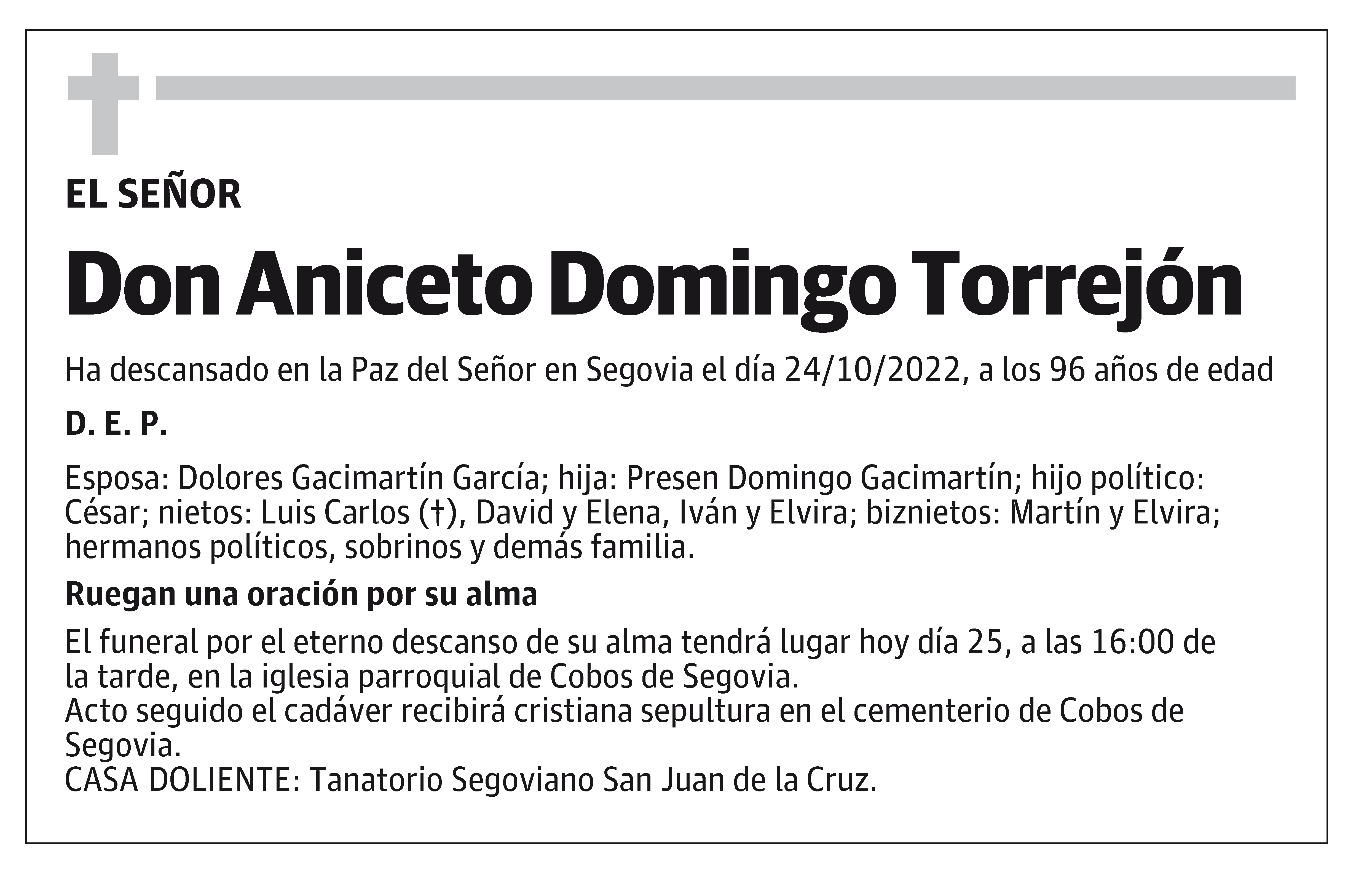 Aniceto Domingo Torrejón