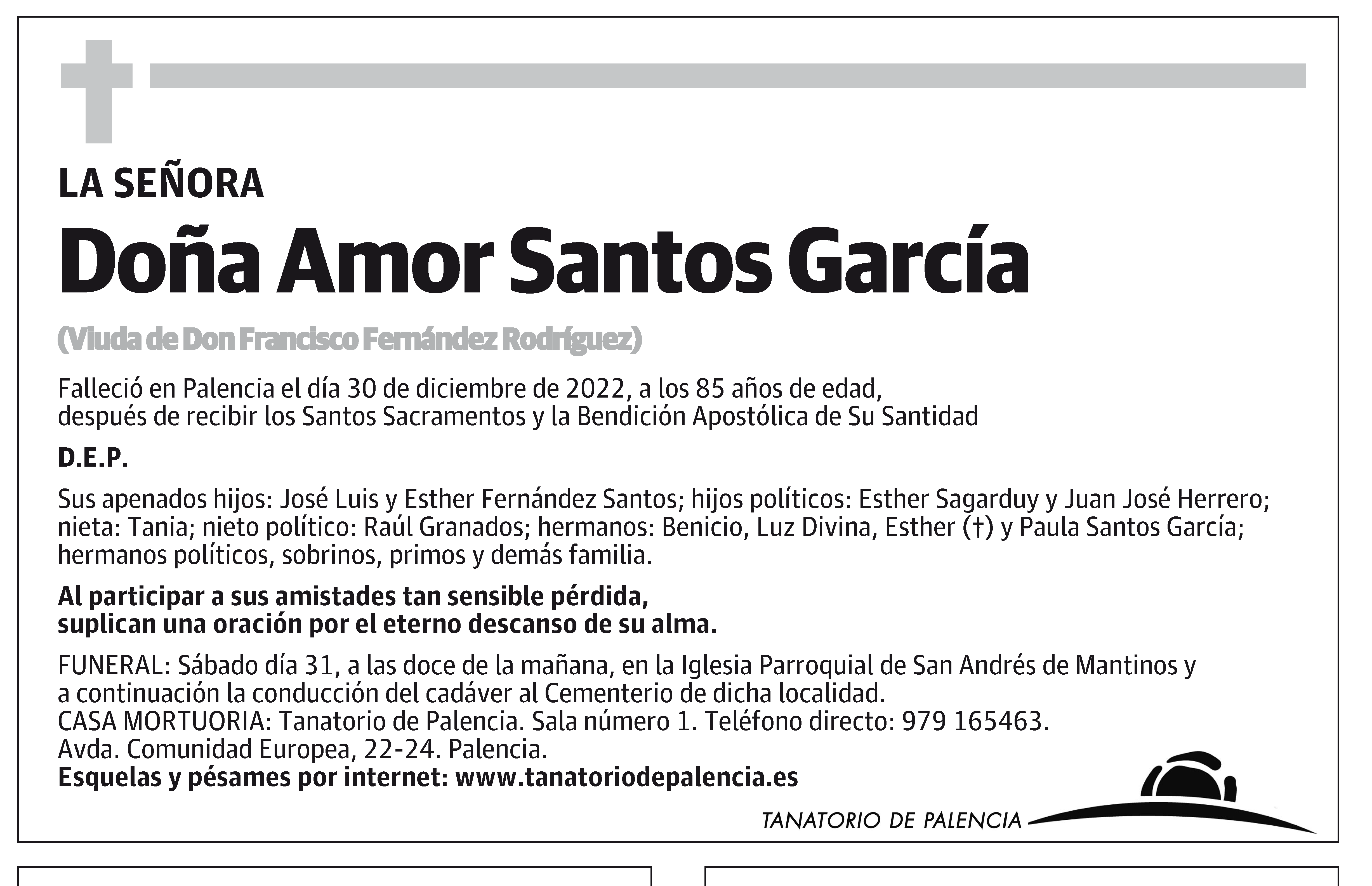 Amor Santos García