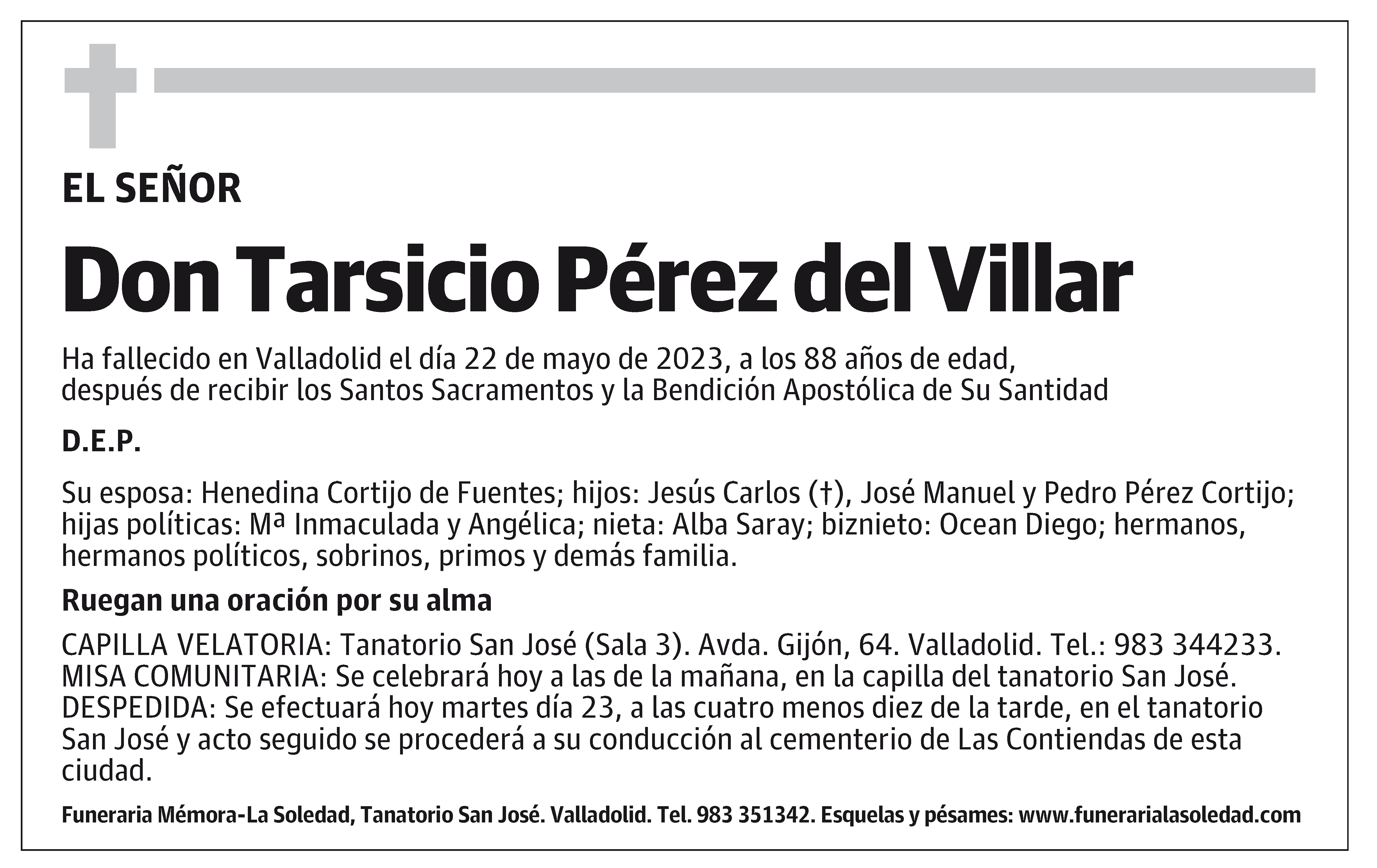 Tarsicio Pérez del Villar
