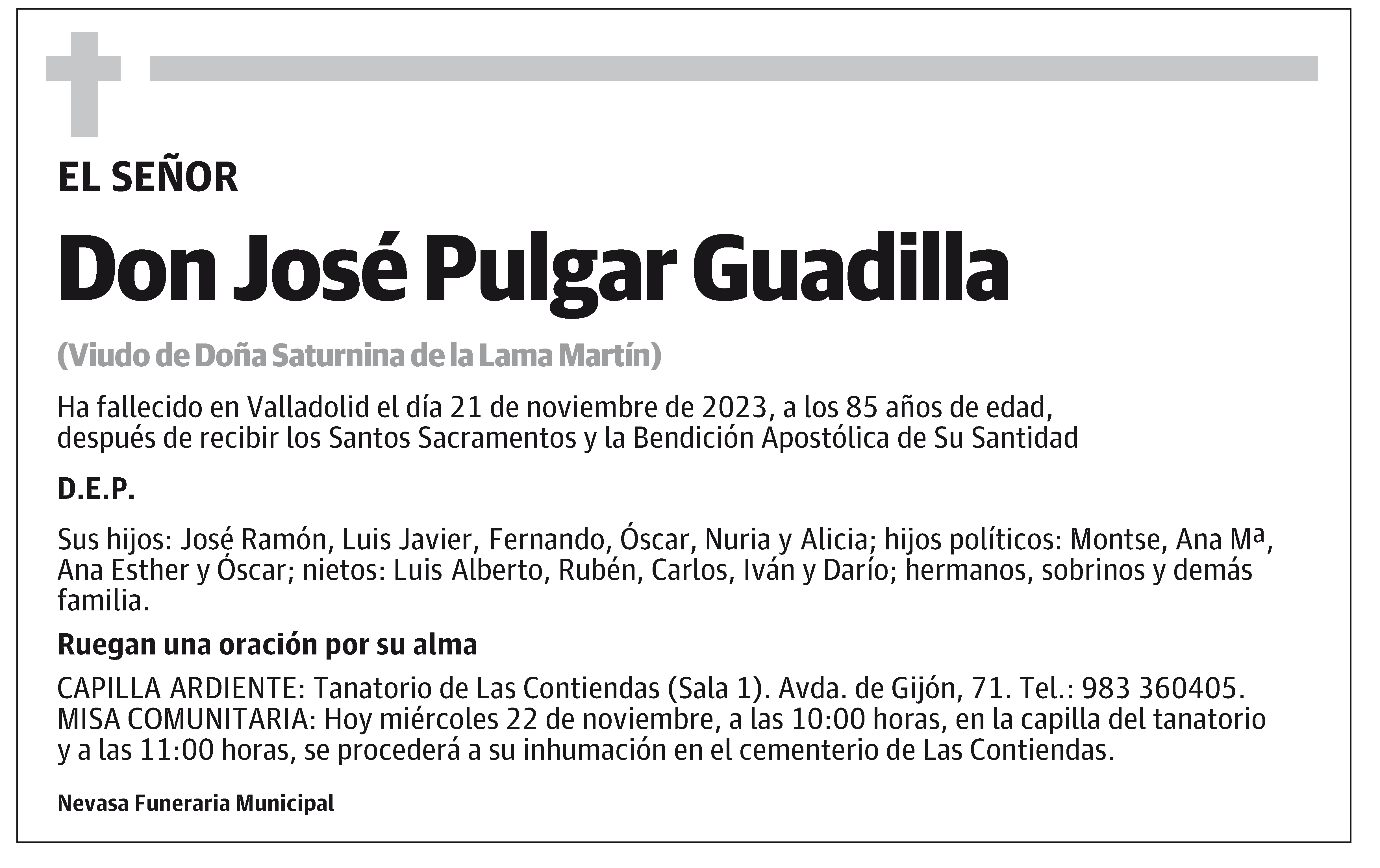José Pulgar Guadilla