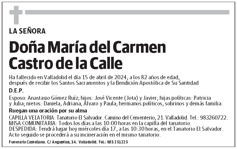 María del Carmen Castro de la Calle