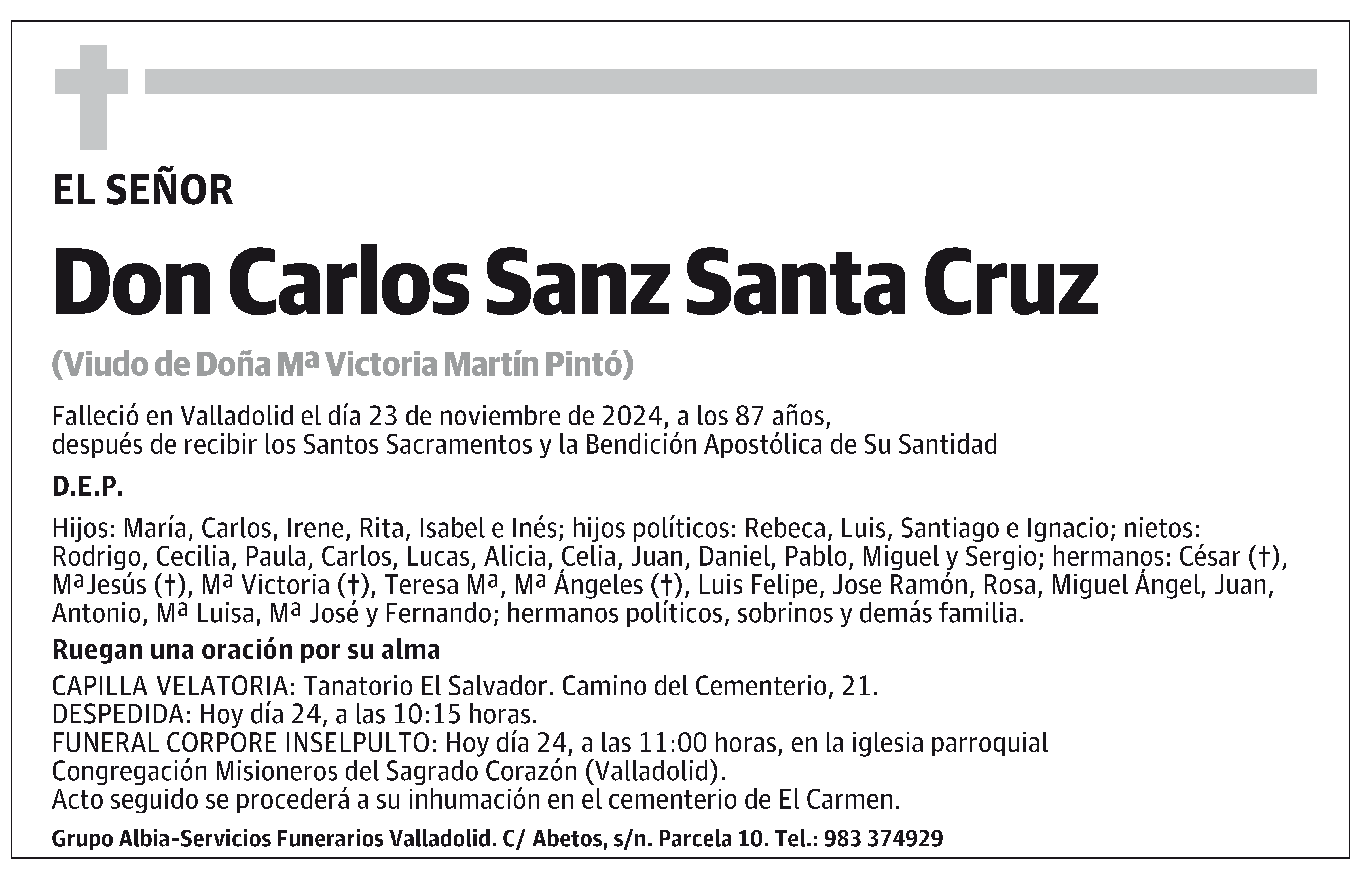 Carlos Sanz Santa Cruz