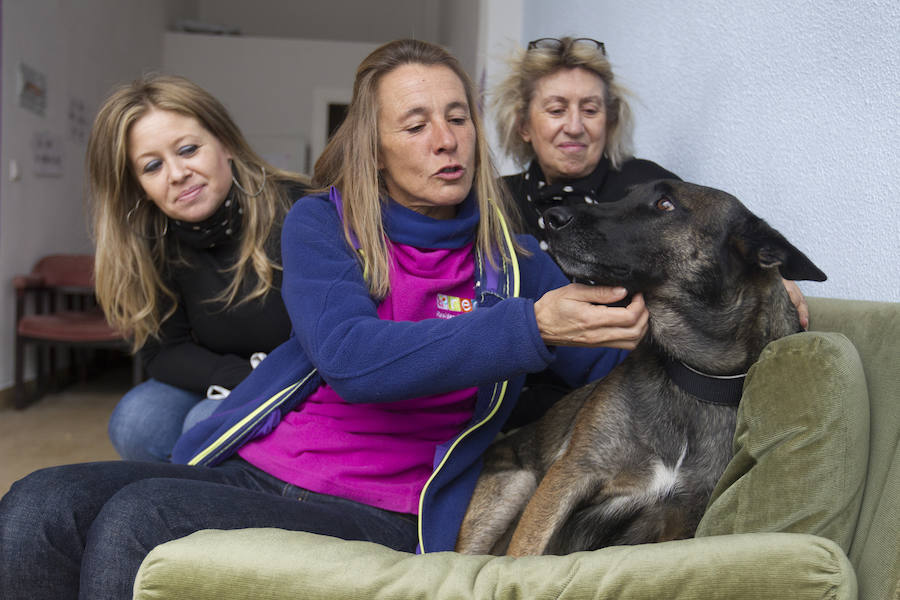 La adiestradora canina profesional Raquel Esteban, en el centro, junto a las psicólogas Silvia Casaseca-Aliste y Mila Rueda y la perra Sim. /Mariam A. Montesinos