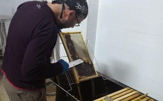 Un apicultor de Pino del Río extrae la miel de las celdas. /