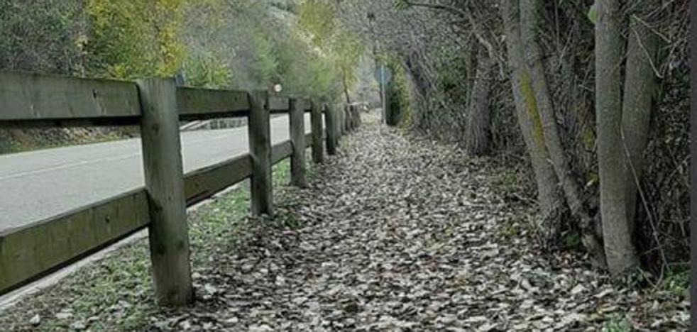 Castronuño exige reponer el guardarraíl de madera de la Senda de los Almendros - Vimarsana News