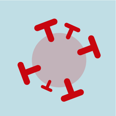 Toda la cobertura del  Covid-19