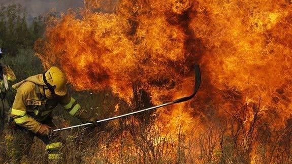 Hay 2.000 incendiarios identificados en la región, pero nueve de cada