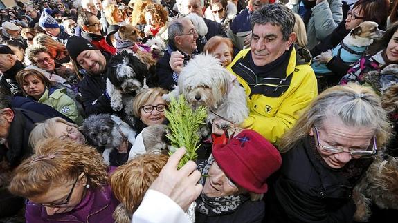 Celebraciones de San Antón por toda la comunidad El Celebraciones de San Antón por toda la comunidad El